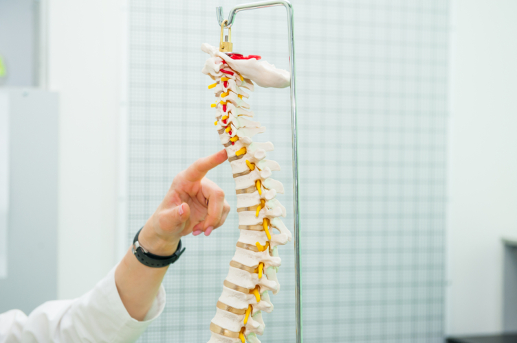 最近、身長が縮んだと感じたら、それは脊柱圧迫骨折が原因かもしれません