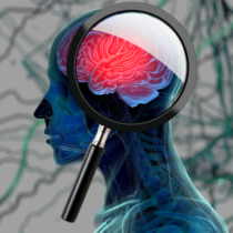 3D medical background with magnifying glass examining brain depicting alzheimers research. 3d illustration3D medical background with magnifying glass examining brain depicting alzheimers research. 3d illustration