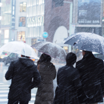 Ginza, Japan - January 14, 2013: At Ginza 3 chome crossing, one of the most famous point in fashionable town Ginza. Pedestrians are waitng for green light in heavy snow. Some couples share unbrella, walk close together.